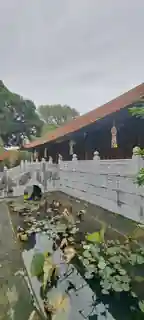 Stone bridge, lotus pond and the long wooden hall.
