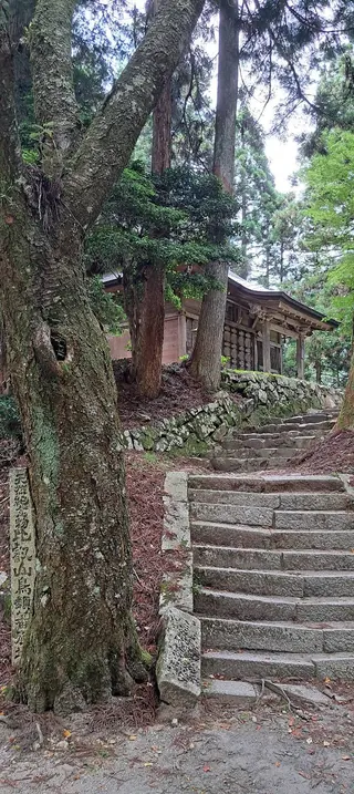 히에이산 숲속의 돌계단